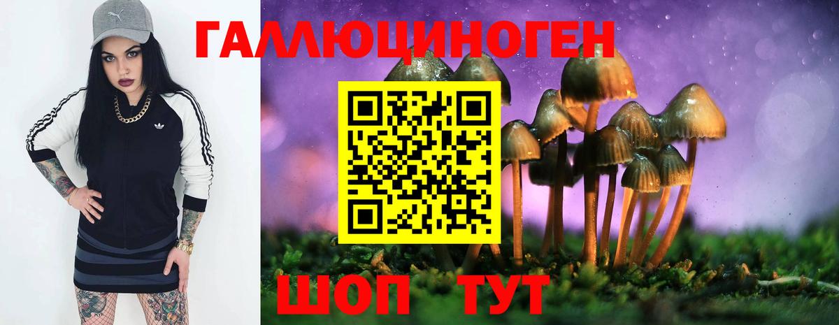 Каменск-Шахтинский  Галлюциногенные грибы MAGIC MUSHROOMS  Вход с VPN 